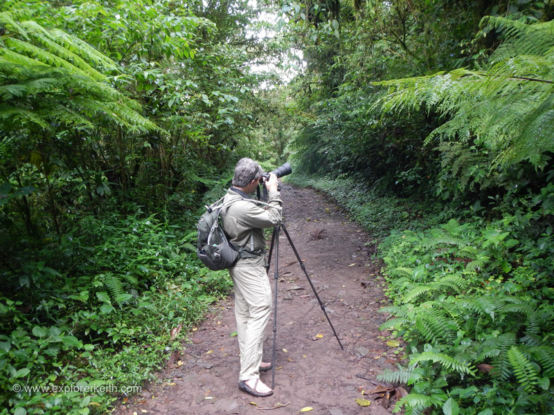 Exploring Monteverde Cloud Forest 2