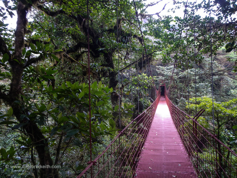 Exploring Monteverde Cloud Forest 3