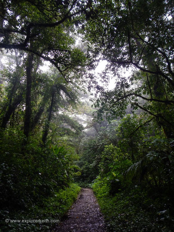 Exploring Monteverde Cloud Forest 14