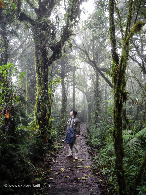 Exploring Monteverde Cloud Forest 17