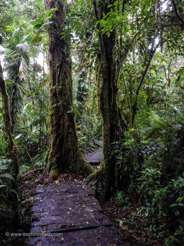 Exploring Monteverde Cloud Forest 13