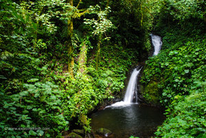 Exploring Monteverde Cloud Forest 20