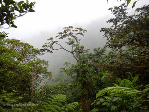 Exploring Monteverde Cloud Forest 23
