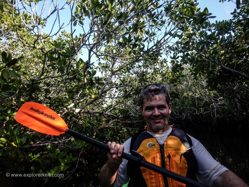 Kayaking in the Mangroves 2