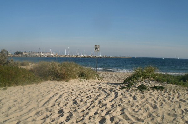 The Daily beach shot