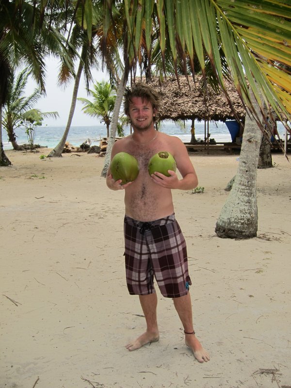 Lovely bunch of coconuts