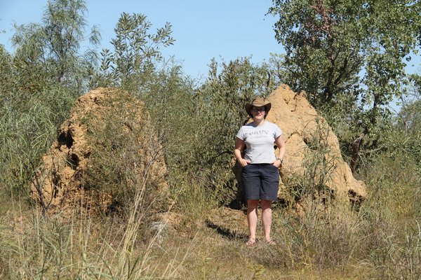 How big are these termite mounds ?