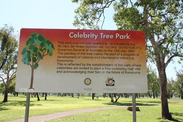 Celebrity trees !  Kununurra