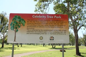 Celebrity trees !  Kununurra