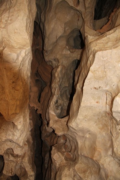 Limestone, Windjana Gorge
