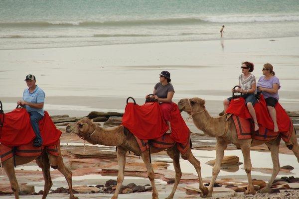 Camel train ride, Broome