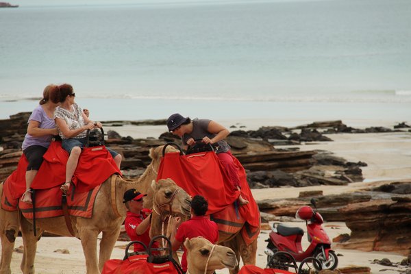 Camel ride, Broome
