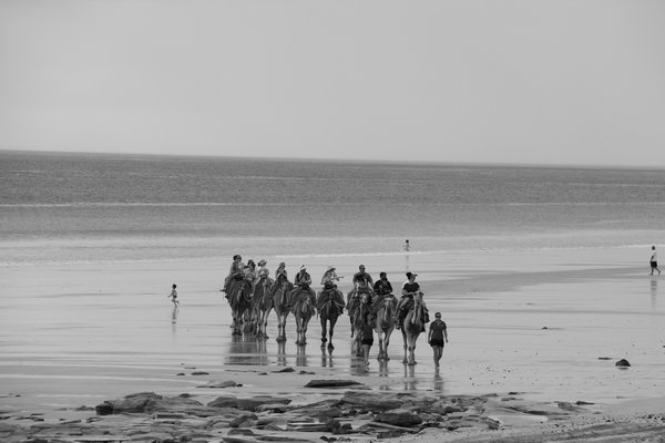 Our camel train, Broome