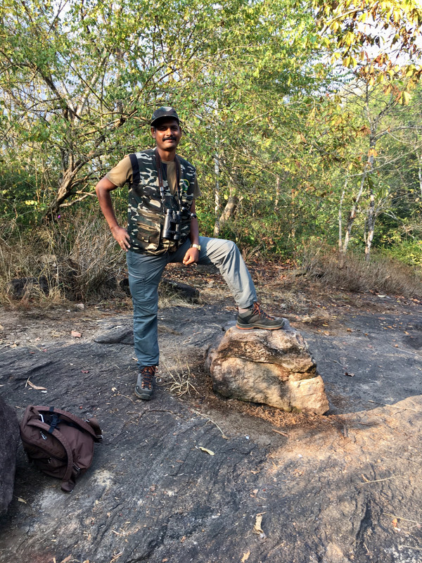 Vinod shows the rock that facilitated elephant sex