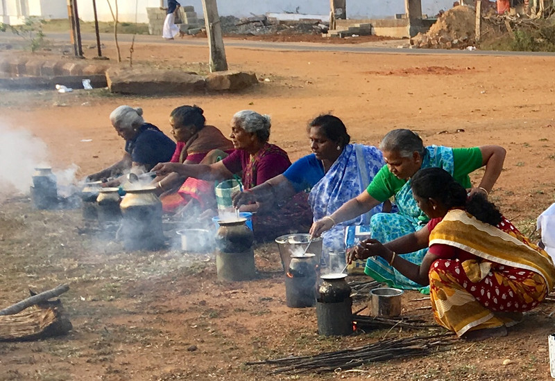 Line of Pongal cookers