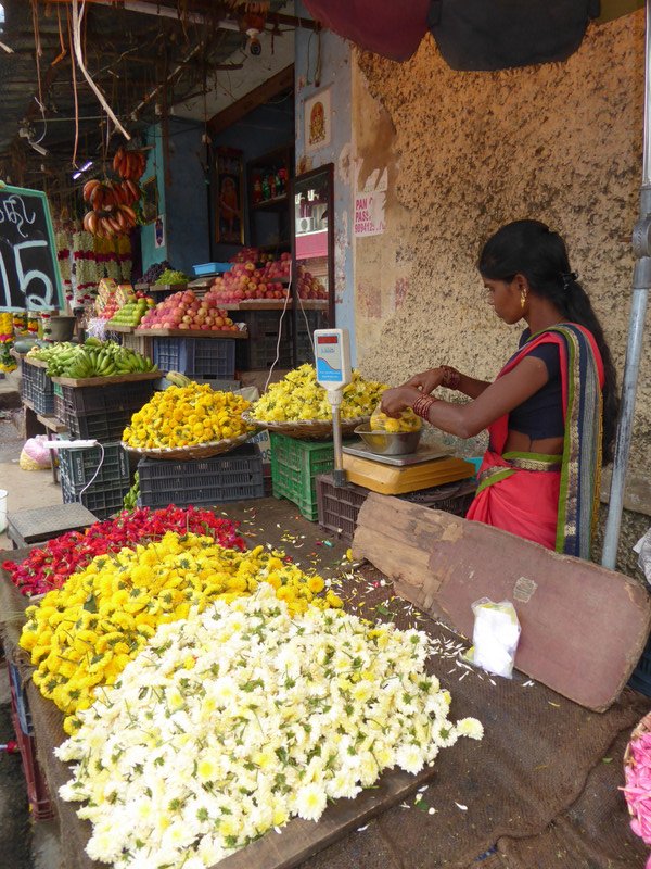 Buying flowers in bulk