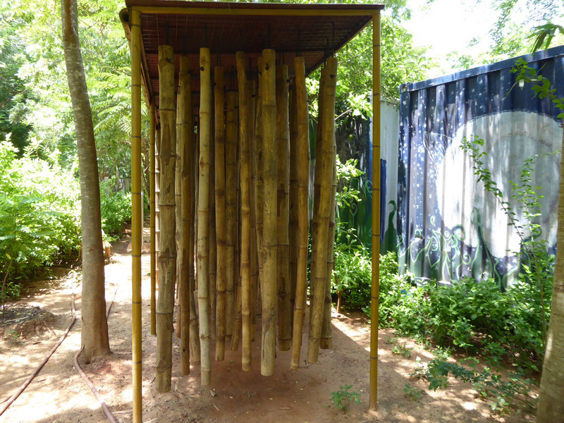 Walk Through the Bamboo Forest and Listen