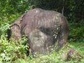 Rock with monkey face and elephant head