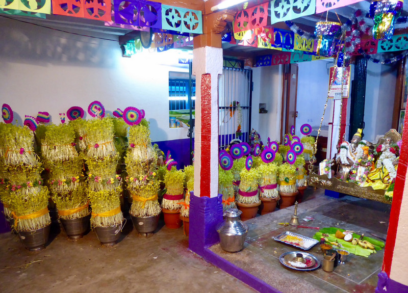 Mulaipari Pots and all the Deities