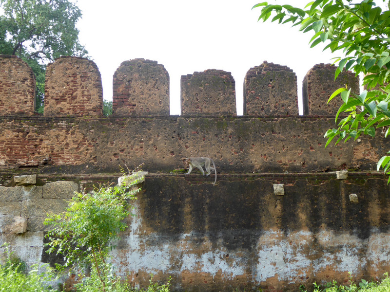 The Fort Wall at Alagar Koil
