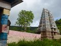 Monkey and Gopuram at Alagar Koil