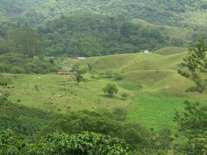 Honduras Mountains Near Copan