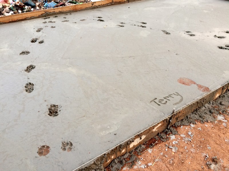 Terry leaves Her Name and footprint, surrounded by fresh paw prints