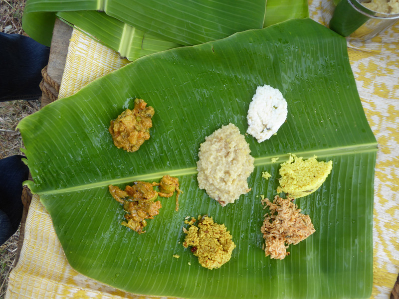 A lovely picnic lunch: sweet pongal and rices: lemon, curd, tamarind, tomato, and two vegetable mixtures.
