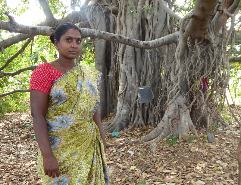 Jyothi, the woman who gives thanks to the tree for saving her husband from the snake bite