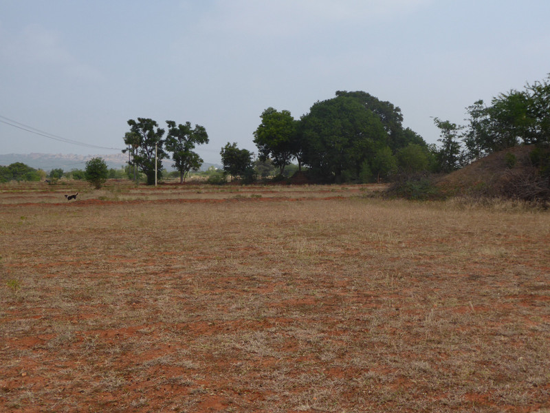 Dry fields around Karikalan's ancestral home