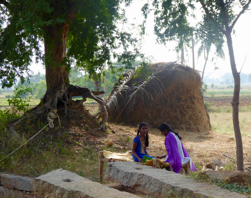 The perfect spot by the well, rice paddies, and cattle feed