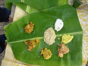 Picnic lunch: four rices, sweet Pongal, two vegetables 