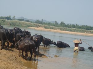 Rishukulya River