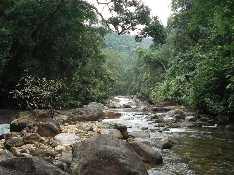 Base of Meenmutty falls
