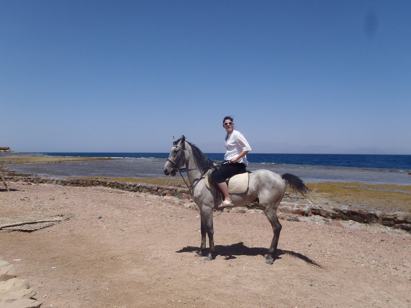 Horse riding in Dahab