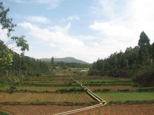 farm field