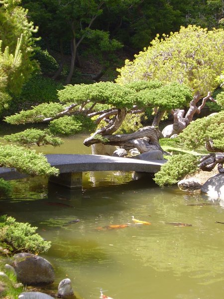 Japanese water feature