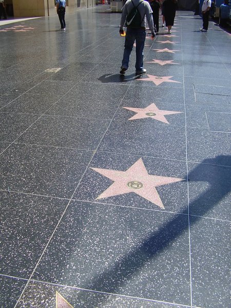 The Hollywood stars