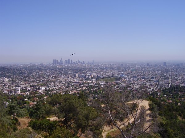 Views from the Observatory