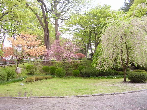 Morioka Park 4