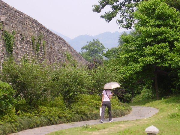 Ming walls