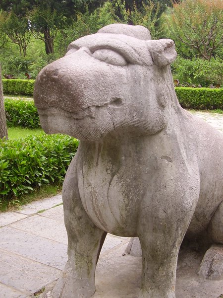Xiezhi, the bear-eyed unicorn