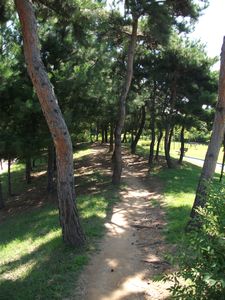 Seorae Maeul Park
