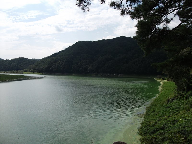 Nakdong River