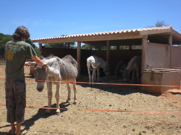 Michael and a donkey