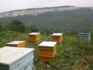 beehives and a lovely view from the monastery