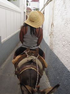 my friend on a donkey