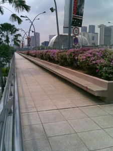 esplanade area downtown singapore