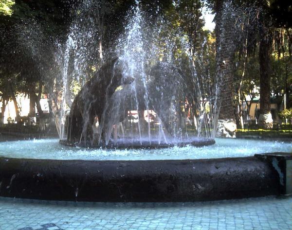 Coyoacan famous fountain