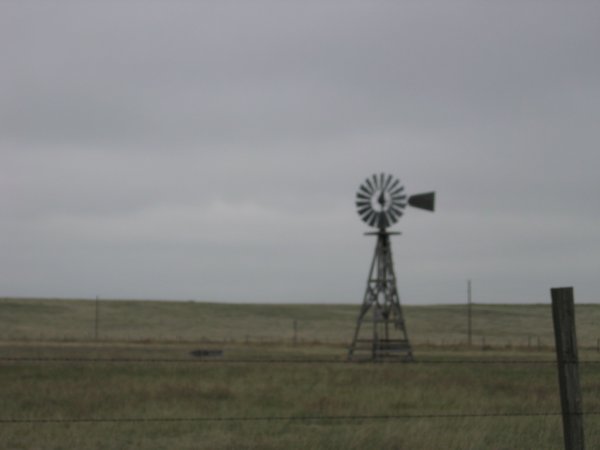 Working windmill